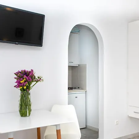 Zas Studios Apartment