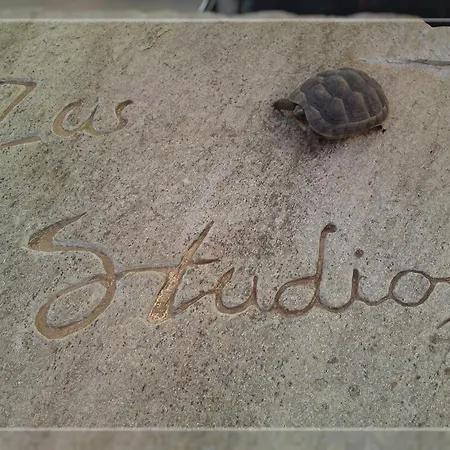 Zas Studios Apartment *